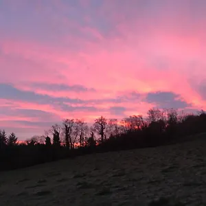 https://forest-view.belfasthotelsireland.com